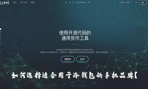 如何选择适合用于冷钱包的手机品牌?