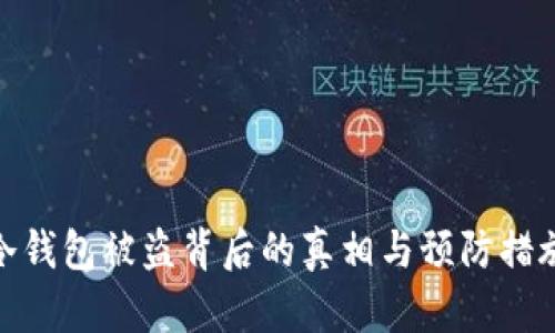 冷钱包被盗背后的真相与预防措施