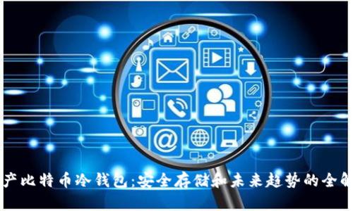 国产比特币冷钱包:安全存储和未来趋势的全解析