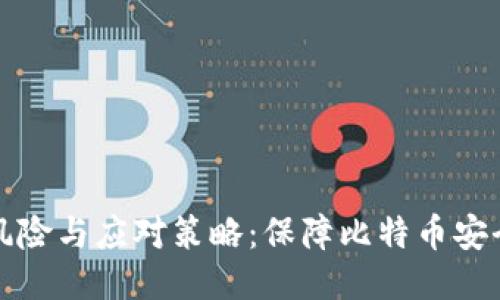 冷钱包丢币的风险与应对策略：保障比特币安全的全方位指南