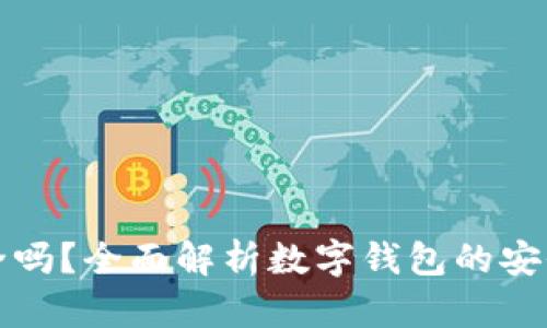 钱包TP安全吗?全面解析数字钱包的安全性与风险