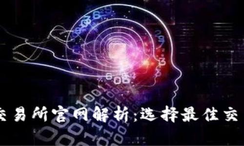 币圈十大交易所官网解析:选择最佳交易所的指南