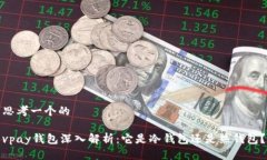 思考一个的vpay钱包深入解析:它是冷钱包还是热