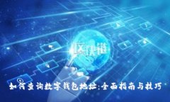 如何查询数字钱包地址:全面指南与技巧