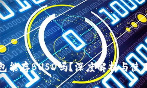 冷钱包能存BUSD吗?深度解析与使用指南