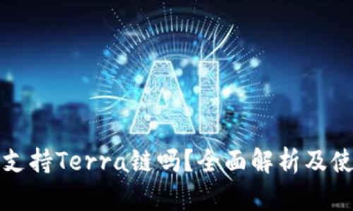 TP钱包支持Terra链吗?全面解析及使用指南