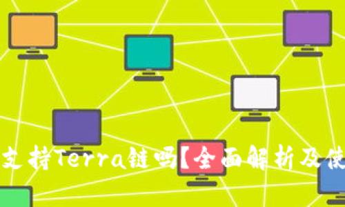 TP钱包支持Terra链吗?全面解析及使用指南