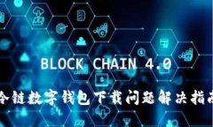 冷链数字钱包下载问题解决指南