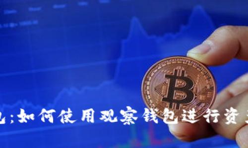 TP钱包:如何使用观察钱包进行资产管理