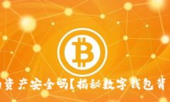 :数字钱包的资产安全吗?揭秘数字钱包背后的安