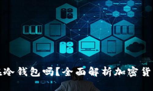 任何币都可以放在冷钱包吗?全面解析加密货币冷钱包的适用性