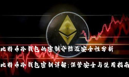 比特币冷钱包的密钥介绍及安全性分析
比特币冷钱包密钥详解:保管安全与使用指南