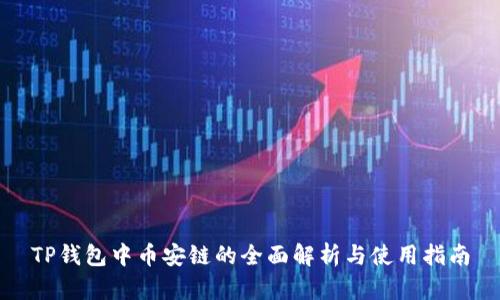 TP钱包中币安链的全面解析与使用指南