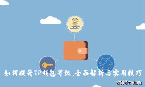 如何提升TP钱包等级:全面解析与实用技巧