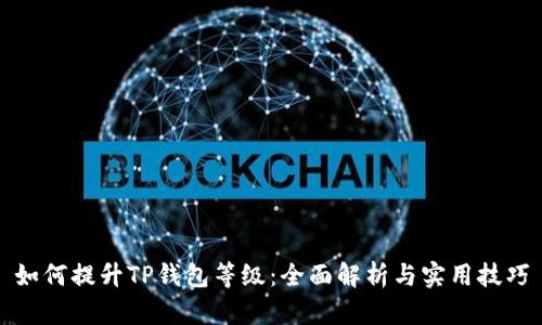 如何提升TP钱包等级:全面解析与实用技巧