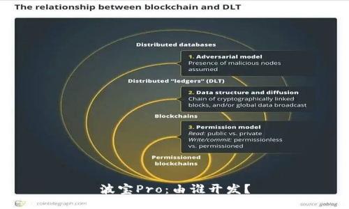 波宝Pro:由谁开发?