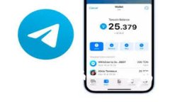 冷钱包能否存储LUNA代币——全面解析与实用指南
