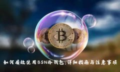 如何有效使用BSN冷钱包:详细指南与注意事项