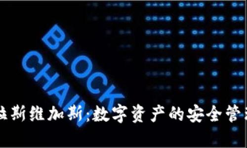 TP钱包拉斯维加斯:数字资产的安全管理与应用