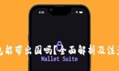 冷钱包能带出国吗?全面解析及注意事项