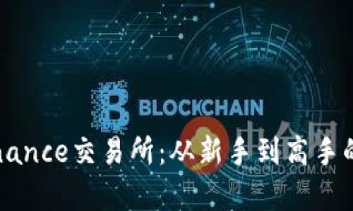 深入解析Binance交易所:从新手到高手的全方位指南