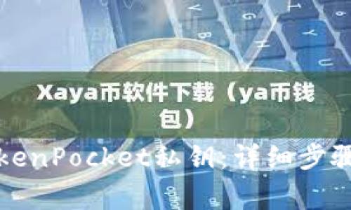 如何导出TokenPocket私钥:详细步骤与注意事项