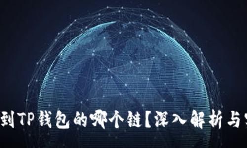 :
FIL币提到TP钱包的哪个链？深入解析与实用指南