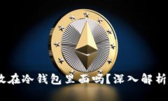 USDT可以放在冷钱包里面吗?深入解析与使用指南