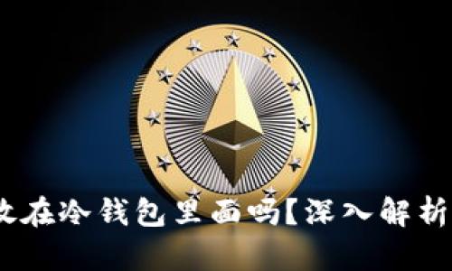 USDT可以放在冷钱包里面吗?深入解析与使用指南