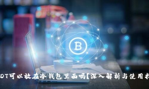 USDT可以放在冷钱包里面吗?深入解析与使用指南