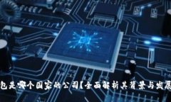 TP钱包是哪个国家的公司?全面解析其背景与发展