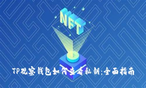 TP观察钱包如何查看私钥:全面指南