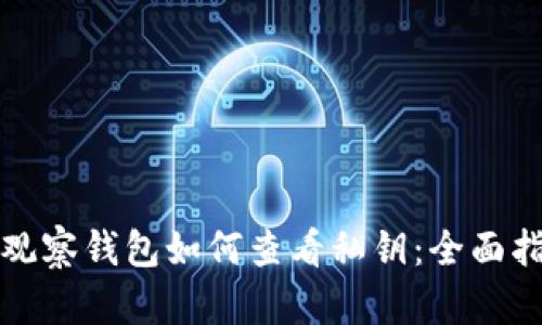 TP观察钱包如何查看私钥:全面指南