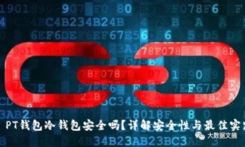 : PT钱包冷钱包安全吗?详解安全性与最佳实践