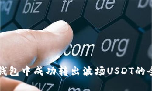 如何在TP钱包中成功转出波场USDT的全流程指南