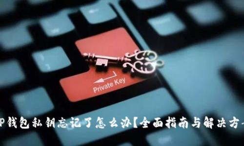 TP钱包私钥忘记了怎么办?全面指南与解决方案