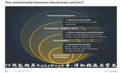 如何通过TP钱包购买BabyDoge币:详细指南与常见问