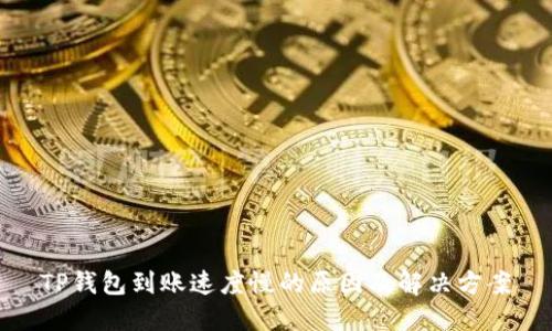 TP钱包到账速度慢的原因及解决方案