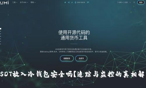 USDT放入冷钱包安全吗?追踪与监控的真相解析