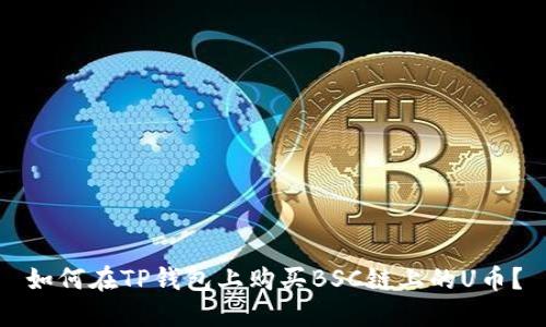 如何在TP钱包上购买BSC链上的U币?