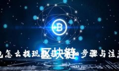 冷钱包怎么提现教程:详细步骤与注意事项