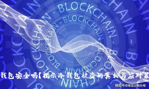 冷钱包安全吗?揭示冷钱包被盗的真相与应对策略