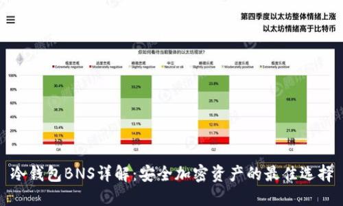 冷钱包BNS详解:安全加密资产的最佳选择