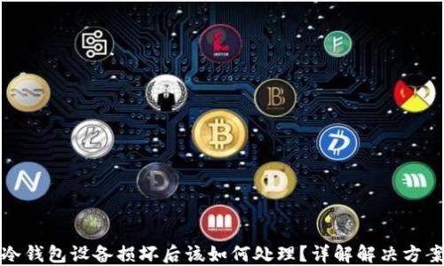 冷钱包设备损坏后该如何处理?详解解决方案