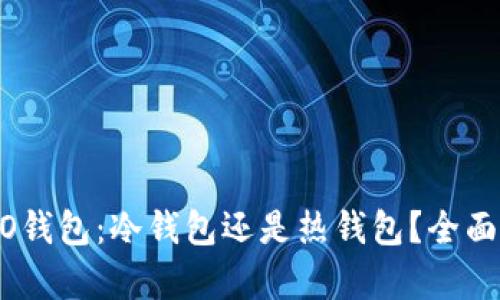 COCO钱包:冷钱包还是热钱包?全面解析