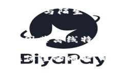   冷钱包USDT应用程序的优缺点与选择指南 /  gua