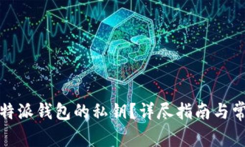 如何查看比特派钱包的私钥?详尽指南与常见问题解答