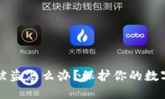 冷钱包丢失或被盗怎么办?保护你的数字资产完