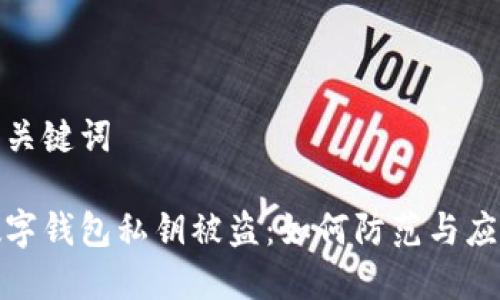 和关键词

数字钱包私钥被盗：如何防范与应对