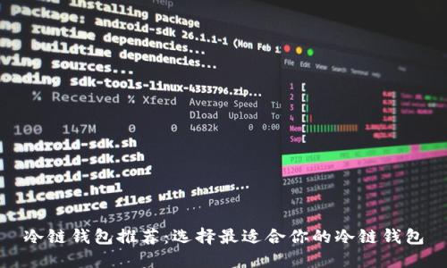 冷链钱包推荐:选择最适合你的冷链钱包